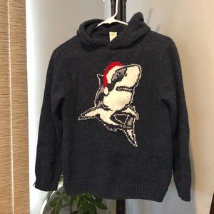 Sweater Hoddie